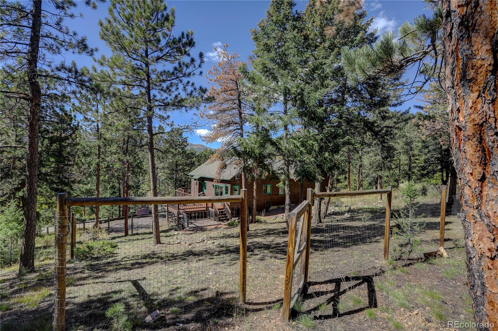 MLS Image #36 for 9758  fallen rock road,conifer, Colorado