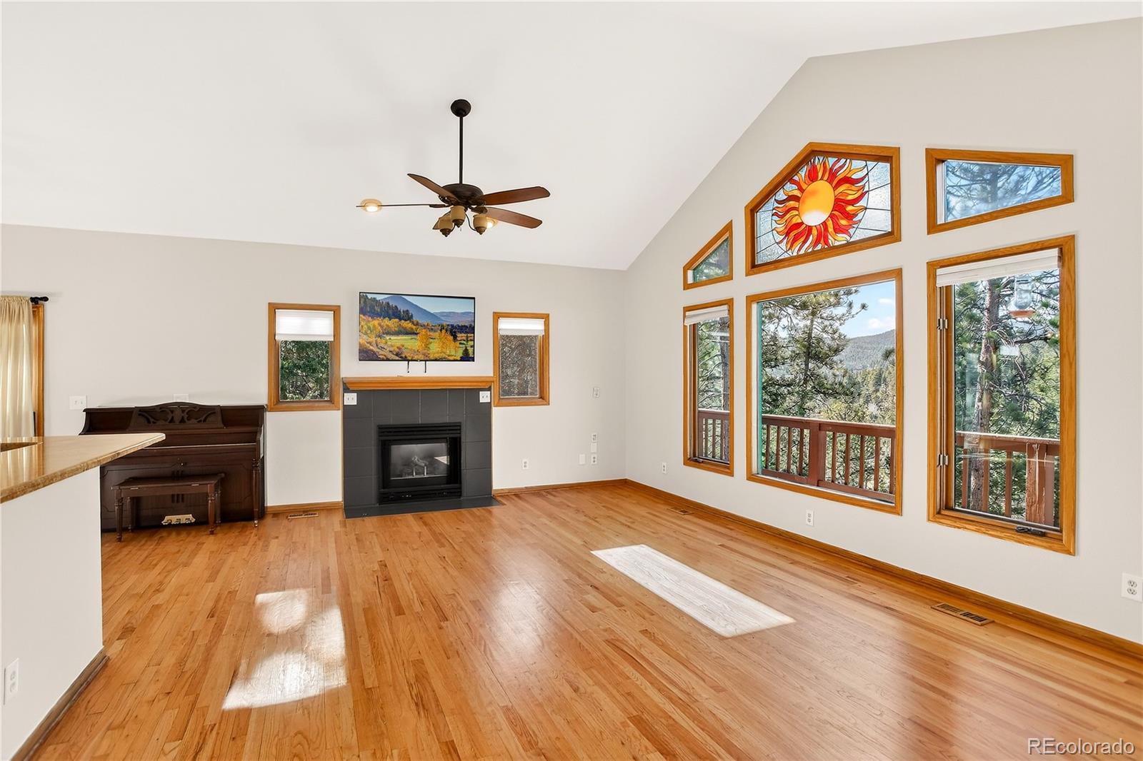 MLS Image #6 for 9758  fallen rock road,conifer, Colorado