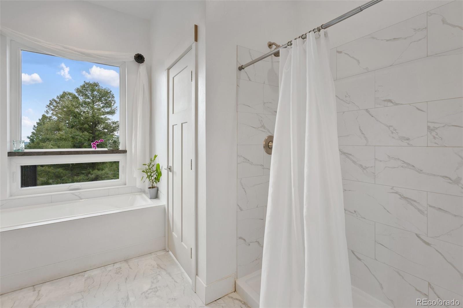 MLS Image #27 for 983  rangeview ,divide, Colorado