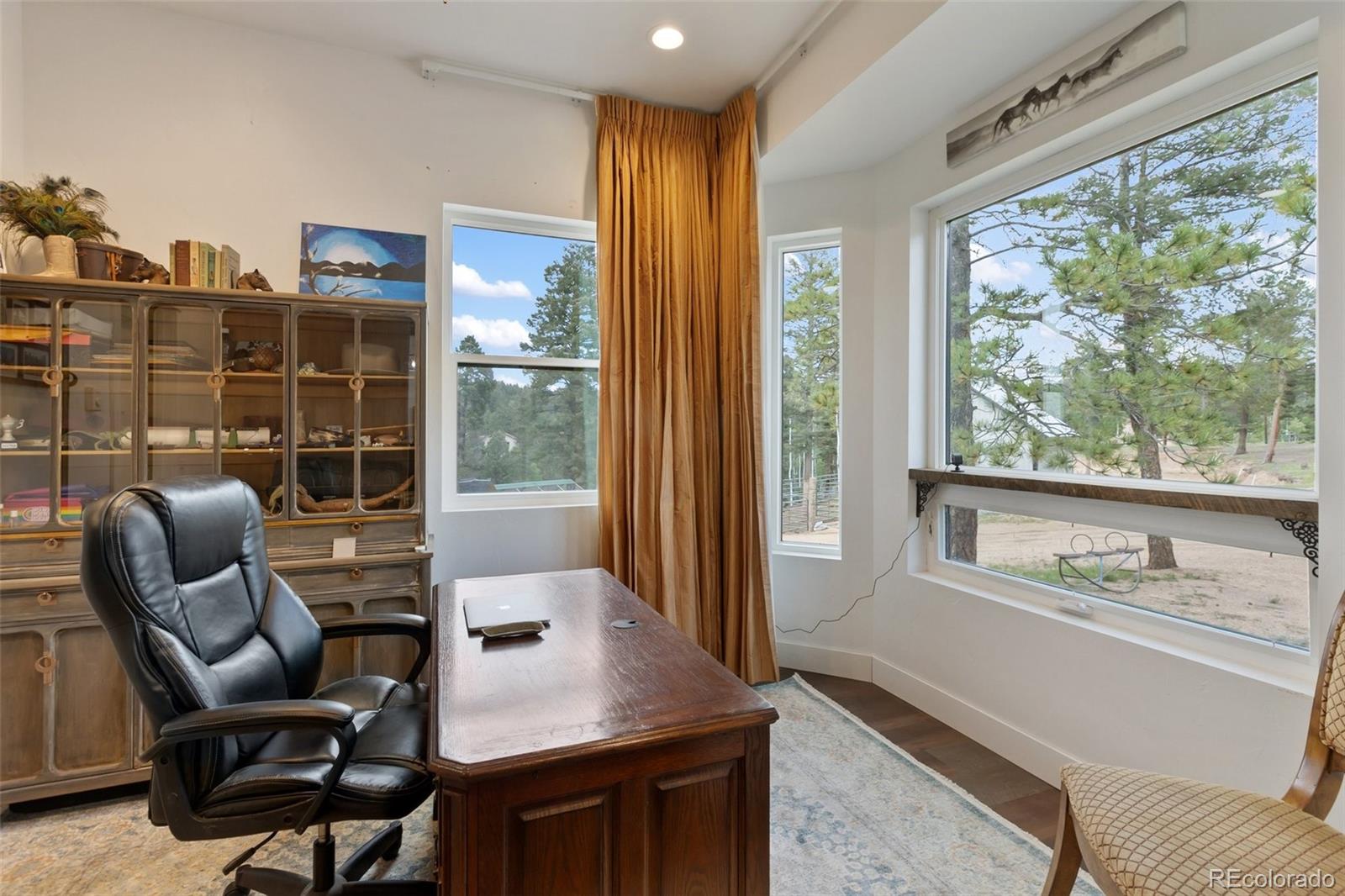 MLS Image #29 for 983  rangeview ,divide, Colorado