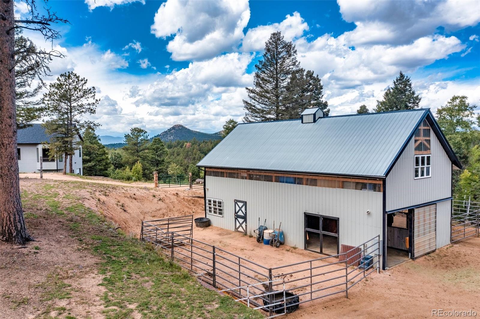 MLS Image #3 for 983  rangeview ,divide, Colorado