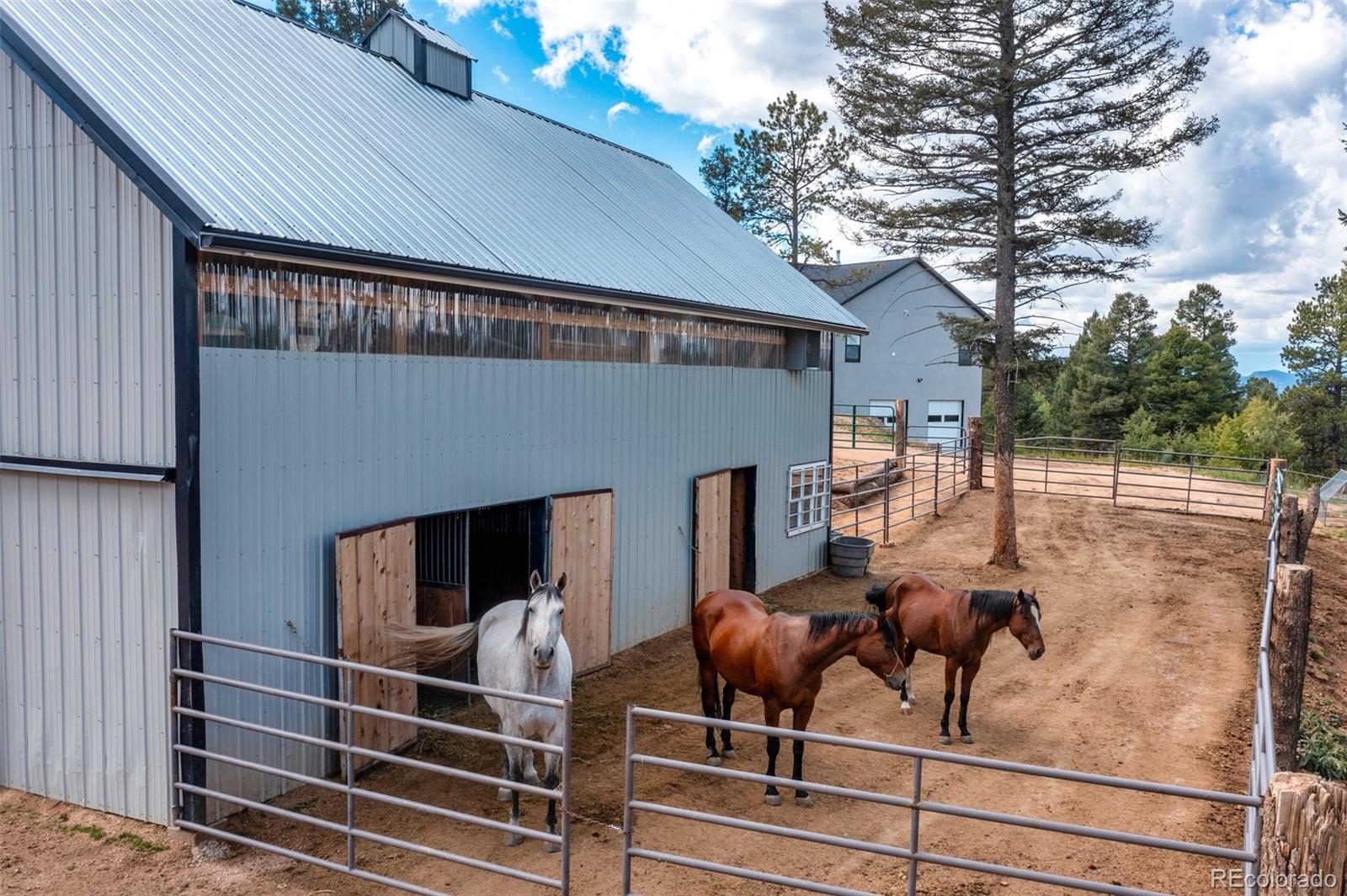 MLS Image #40 for 983  rangeview ,divide, Colorado