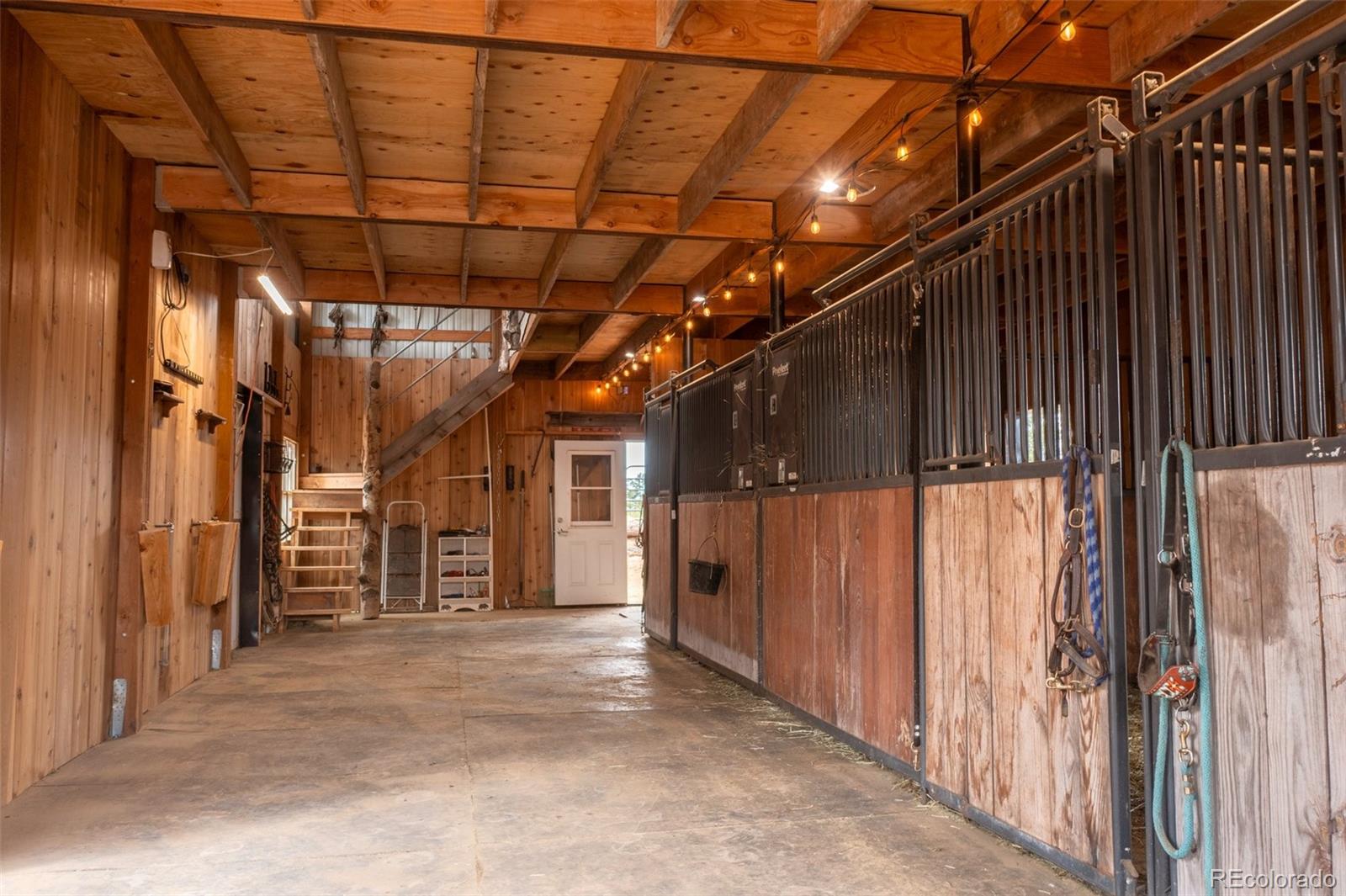MLS Image #44 for 983  rangeview ,divide, Colorado