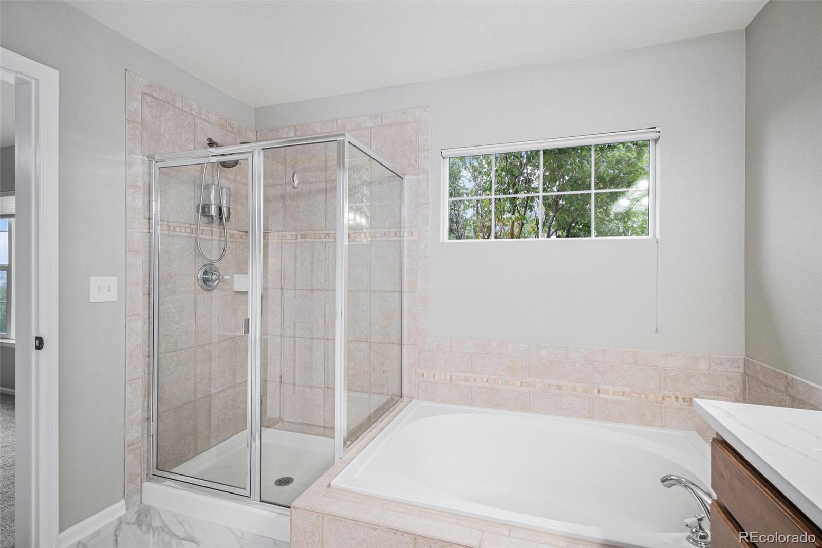 MLS Image #20 for 11788  mill valley street,parker, Colorado