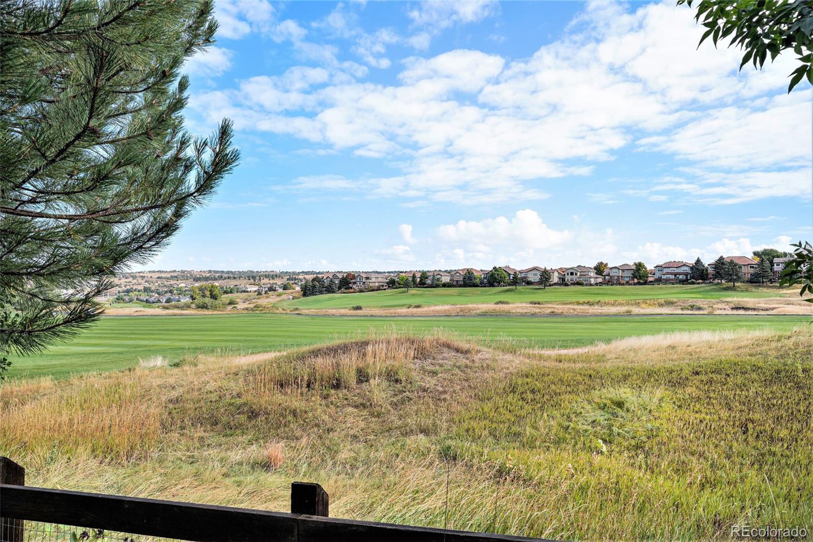 MLS Image #42 for 11788  mill valley street,parker, Colorado