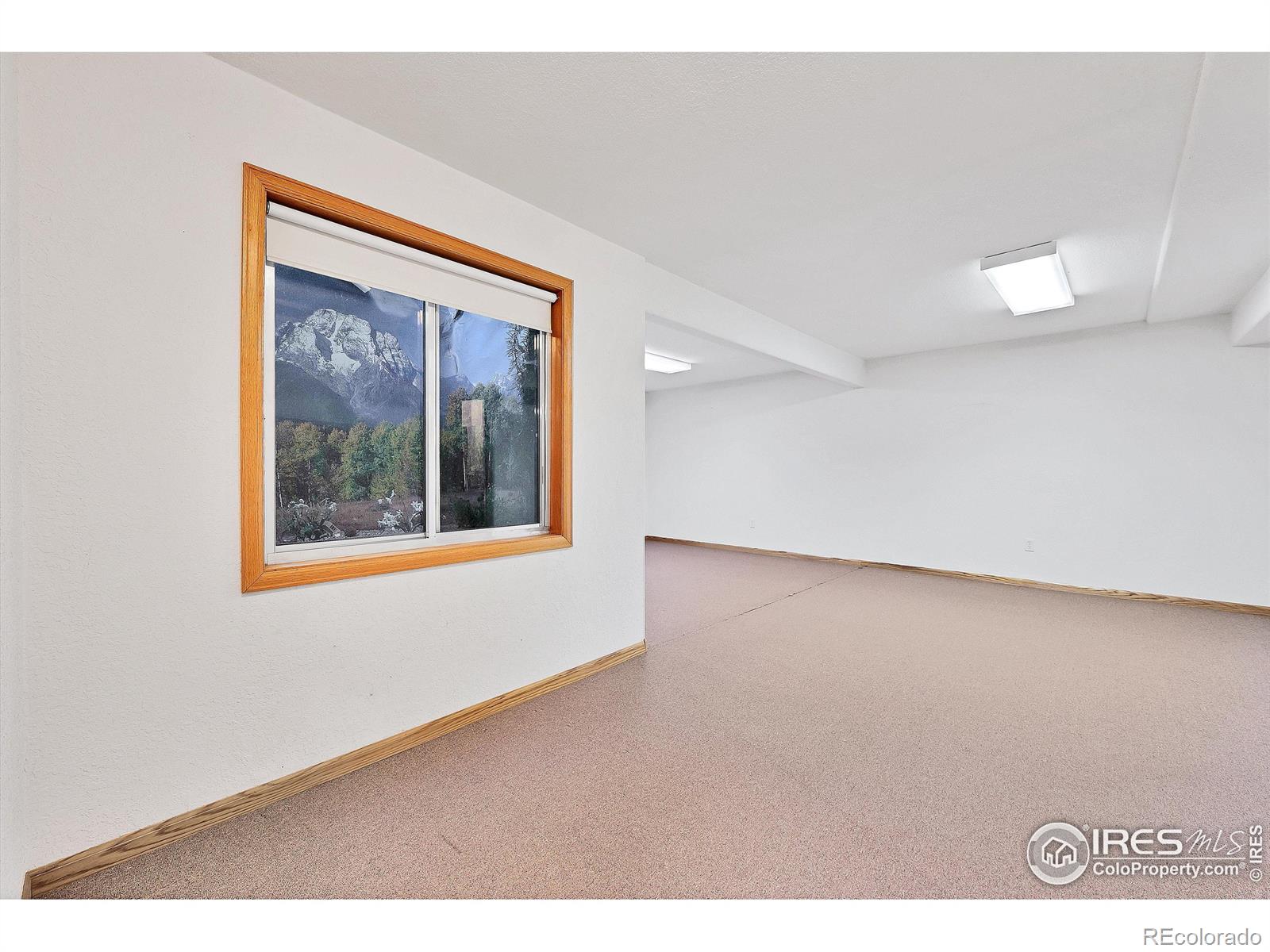 MLS Image #22 for 1171  jefferson drive,berthoud, Colorado