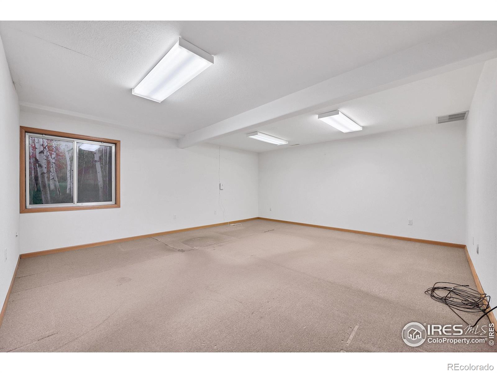 MLS Image #26 for 1171  jefferson drive,berthoud, Colorado