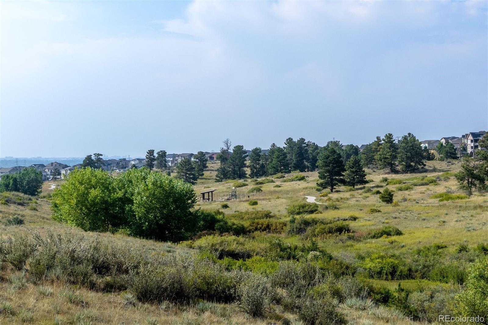 MLS Image #42 for 11944 s meander way,parker, Colorado