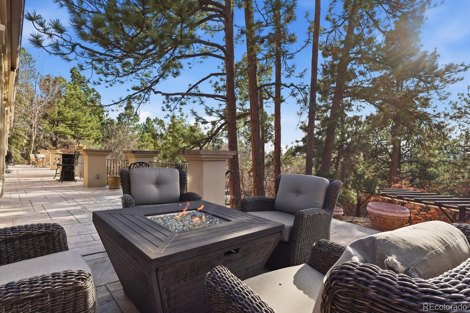 MLS Image #38 for 388  titan place,castle rock, Colorado
