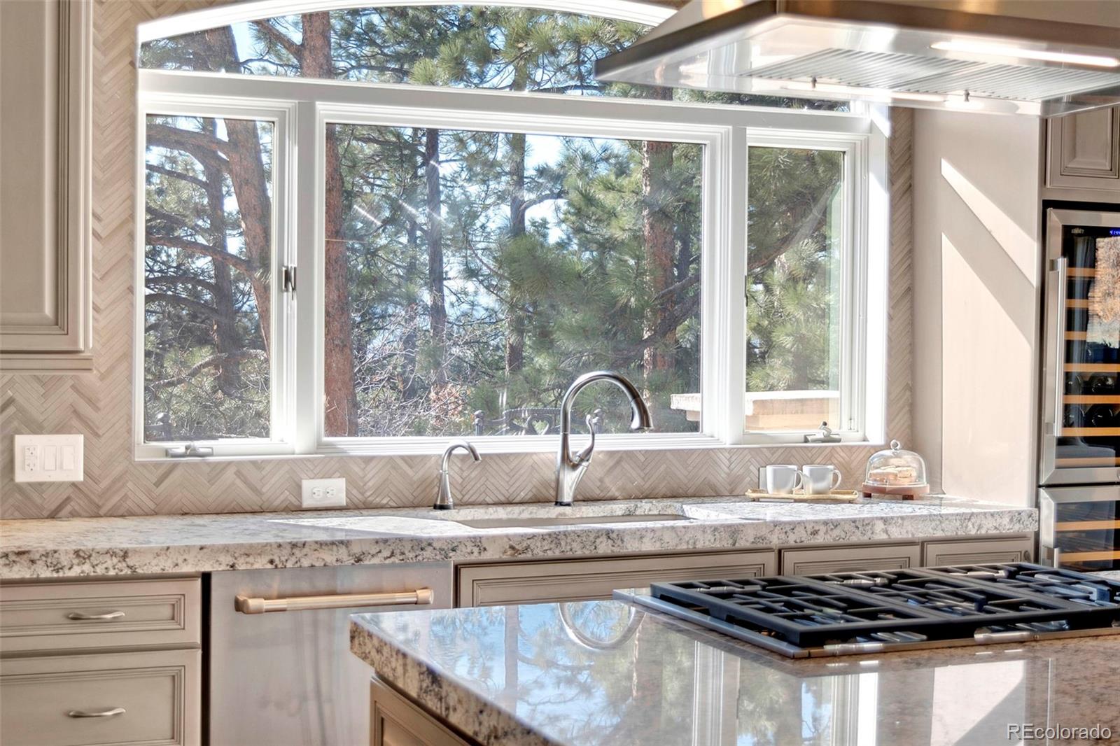 MLS Image #9 for 388  titan place,castle rock, Colorado