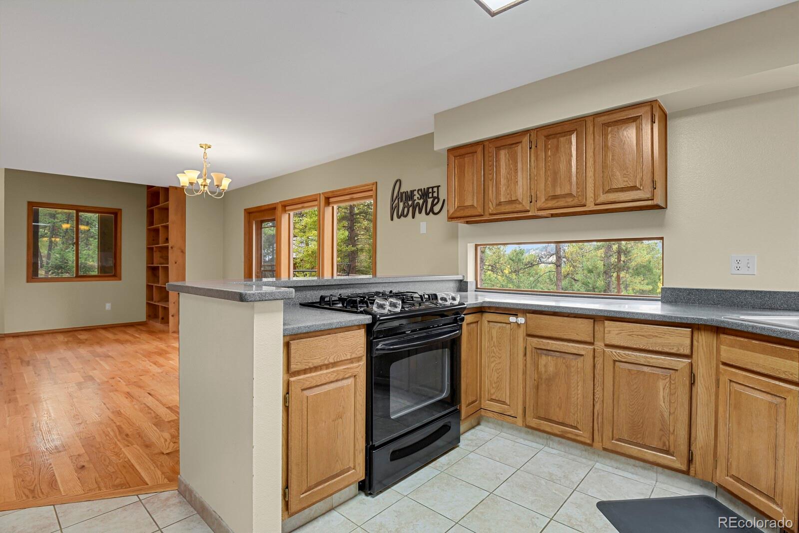 MLS Image #19 for 991  kings crown road,woodland park, Colorado
