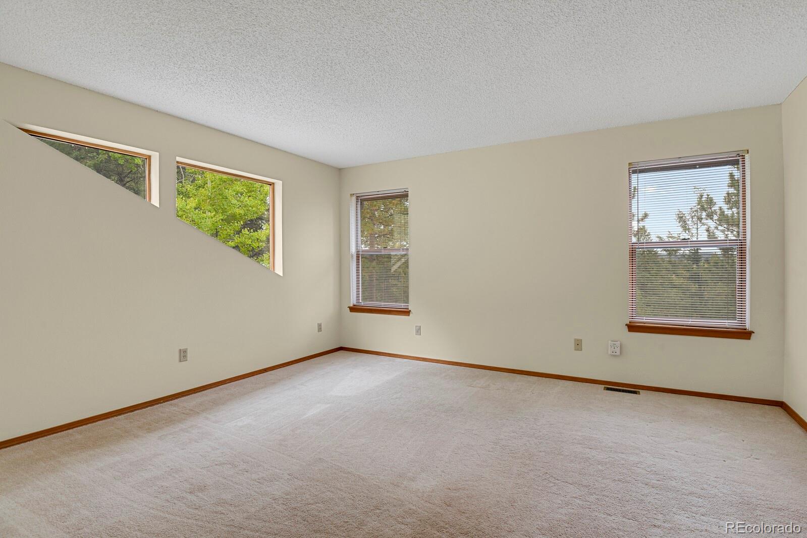 MLS Image #29 for 991  kings crown road,woodland park, Colorado