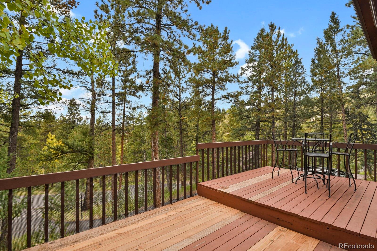 MLS Image #4 for 991  kings crown road,woodland park, Colorado