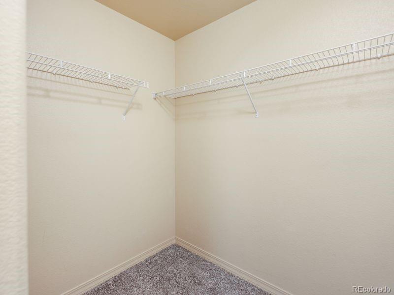 MLS Image #20 for 7674  stetson highlands drive,colorado springs, Colorado