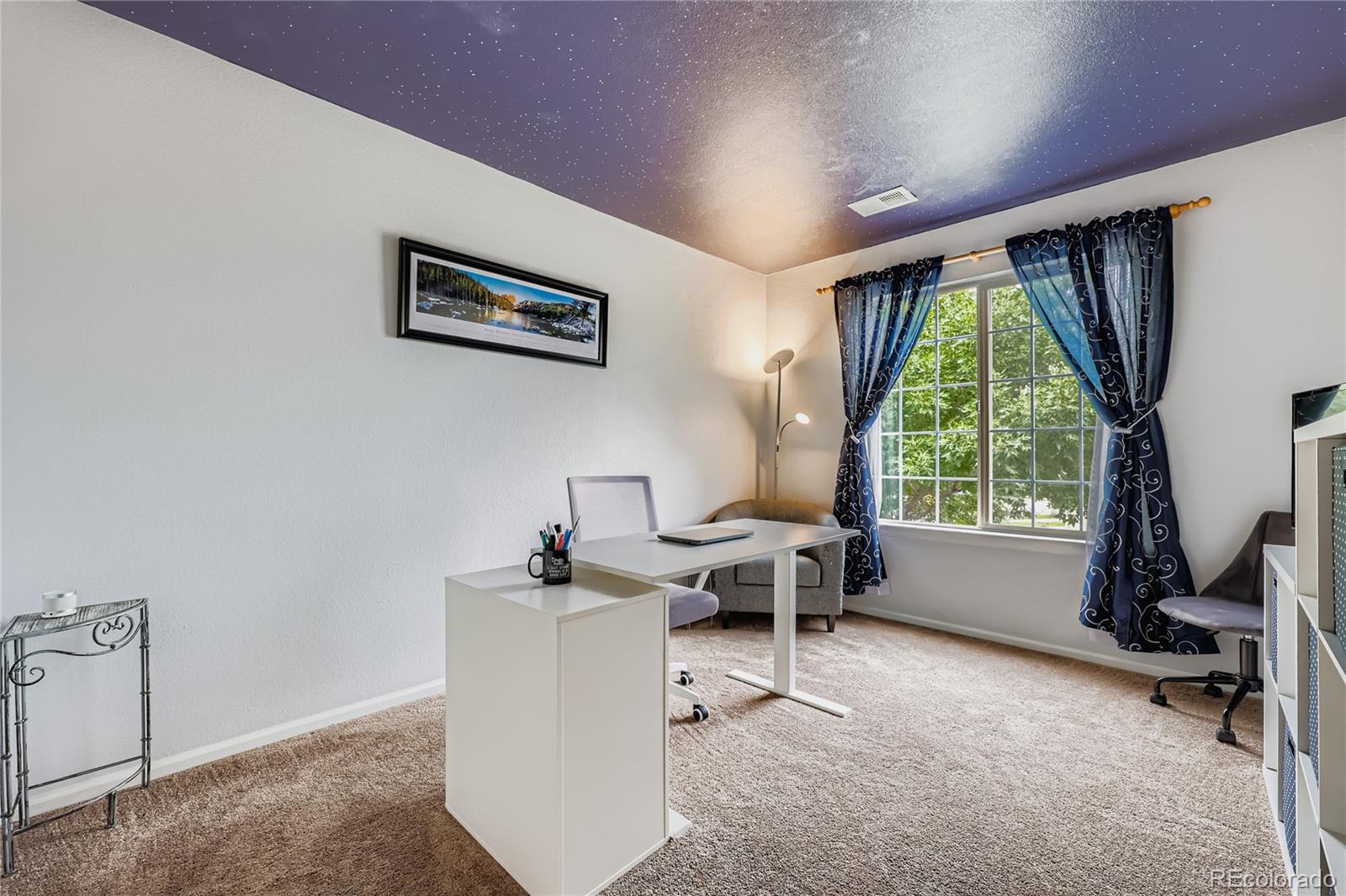 MLS Image #21 for 1005  parsons avenue,castle rock, Colorado