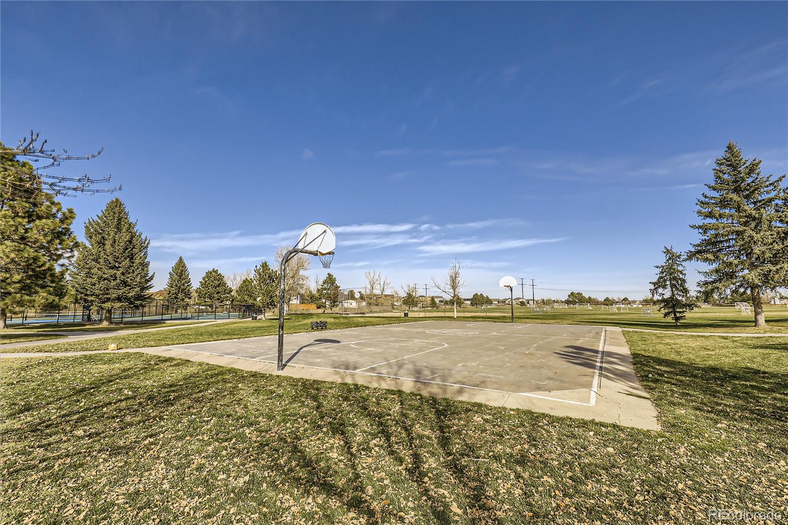 MLS Image #34 for 1005  parsons avenue,castle rock, Colorado