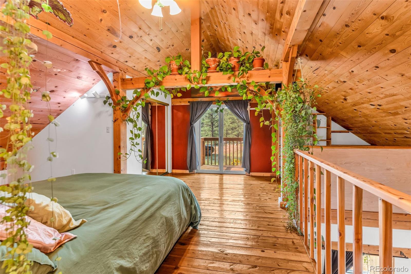 MLS Image #18 for 7073  county road 255 ,westcliffe, Colorado
