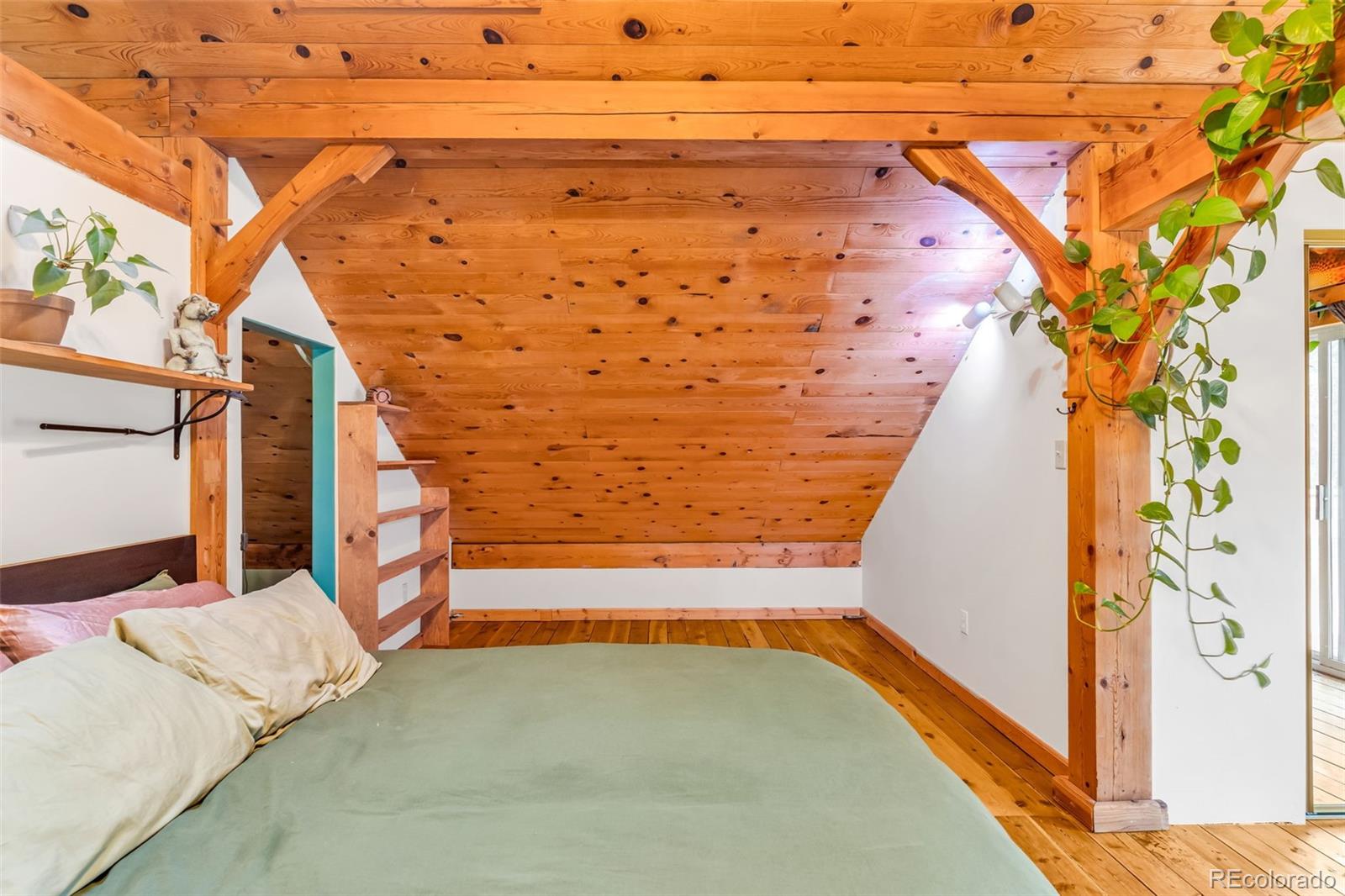MLS Image #19 for 7073  county road 255 ,westcliffe, Colorado