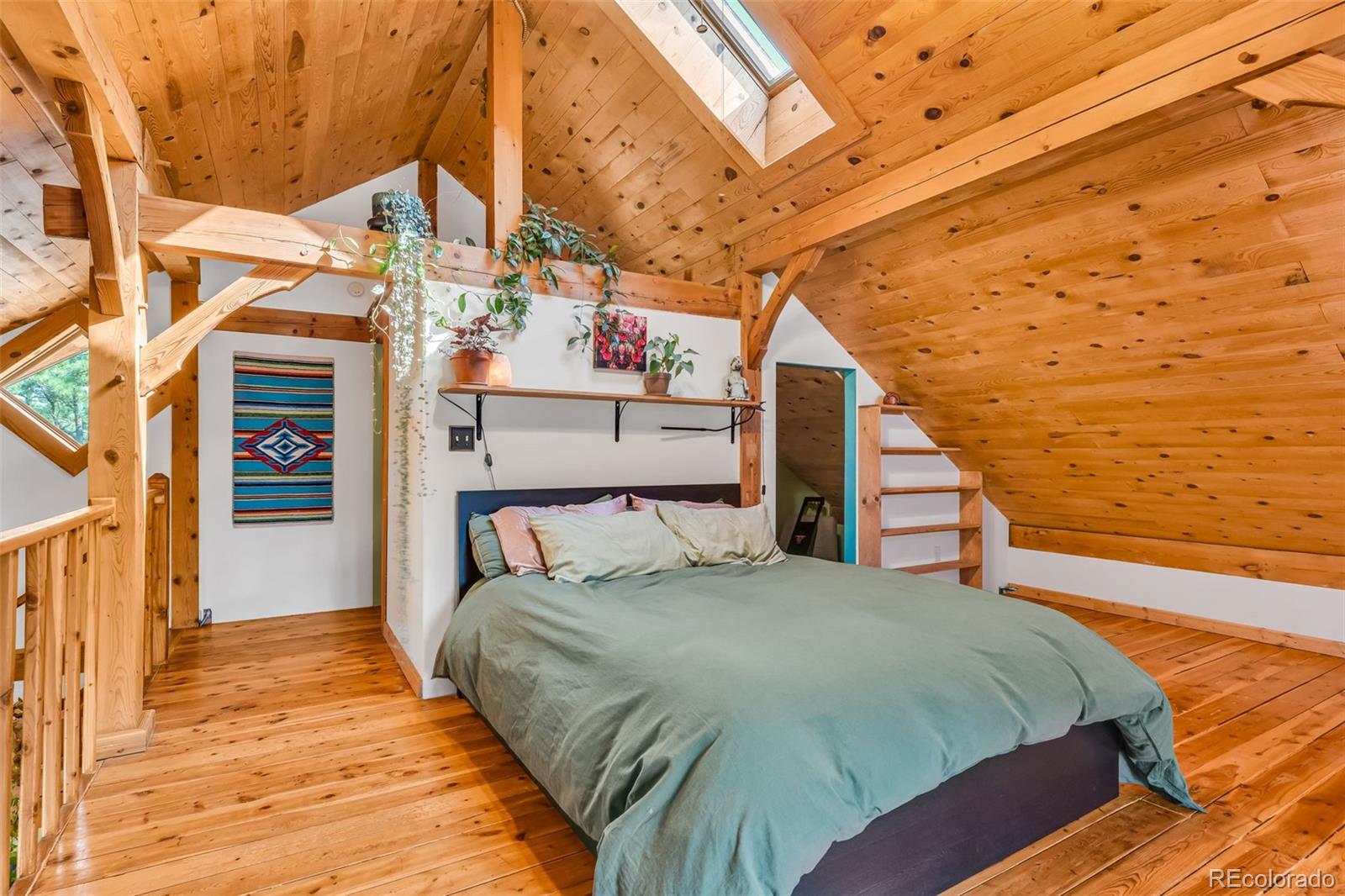 MLS Image #20 for 7073  county road 255 ,westcliffe, Colorado