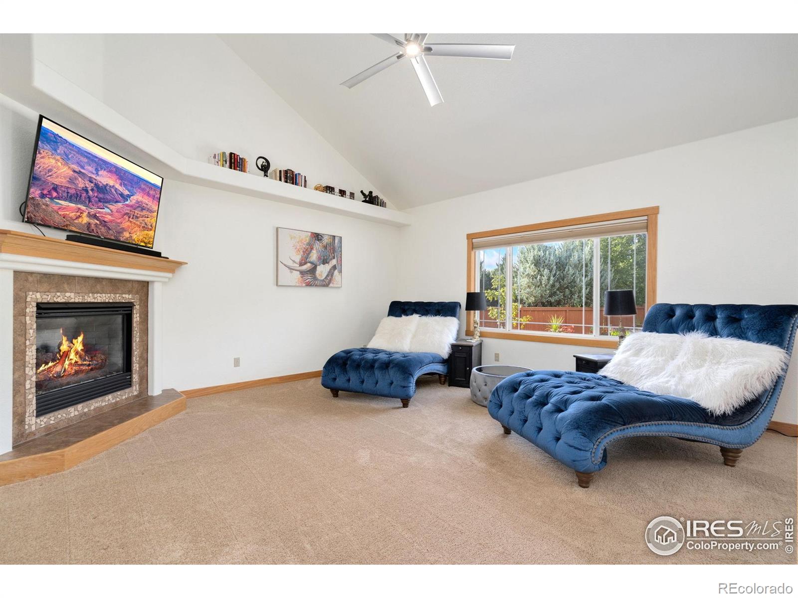 MLS Image #12 for 1361  bubbling brook court,fort collins, Colorado