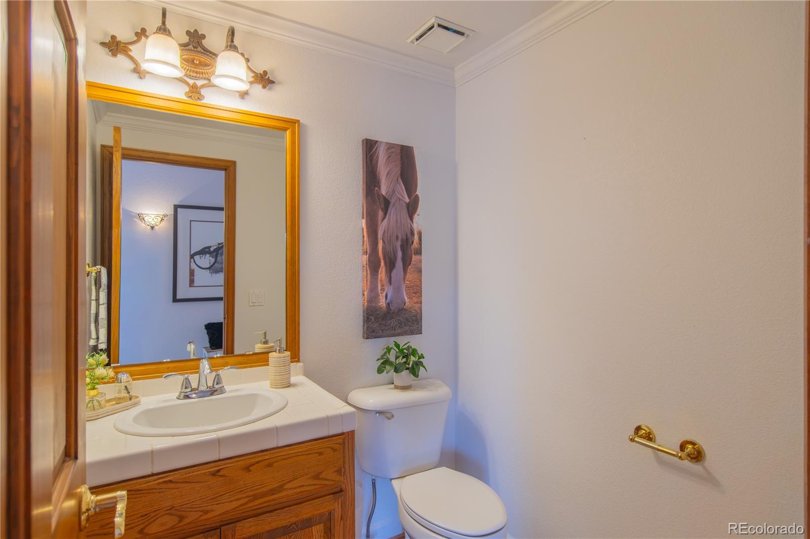 MLS Image #23 for 1660  old antlers way,monument, Colorado