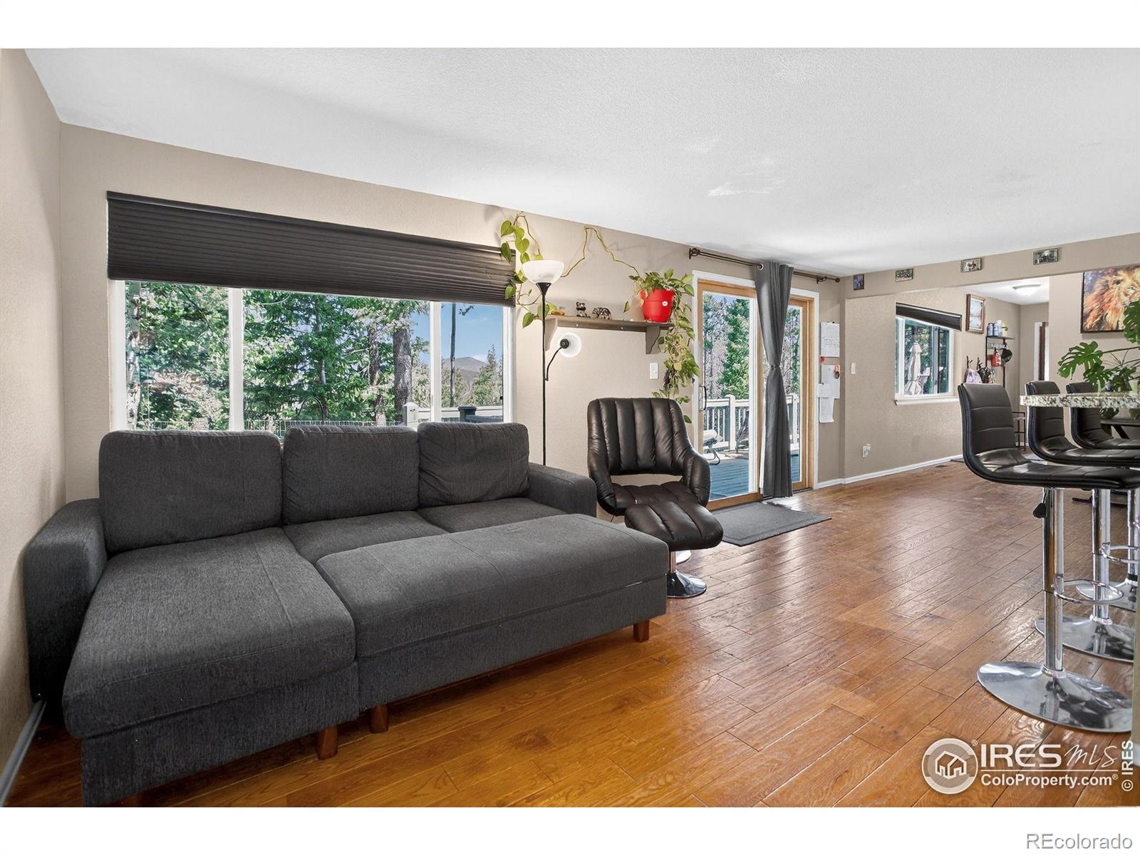 MLS Image #15 for 8340  london lane,conifer, Colorado
