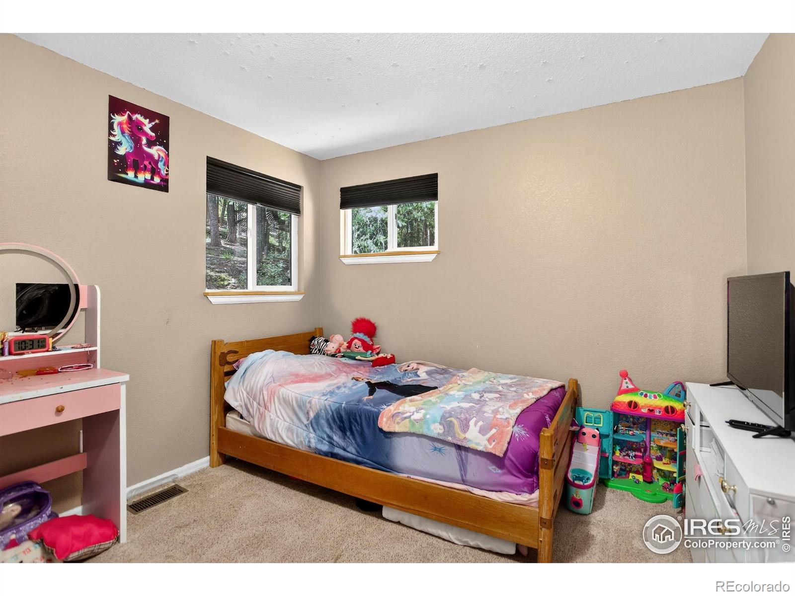 MLS Image #20 for 8340  london lane,conifer, Colorado