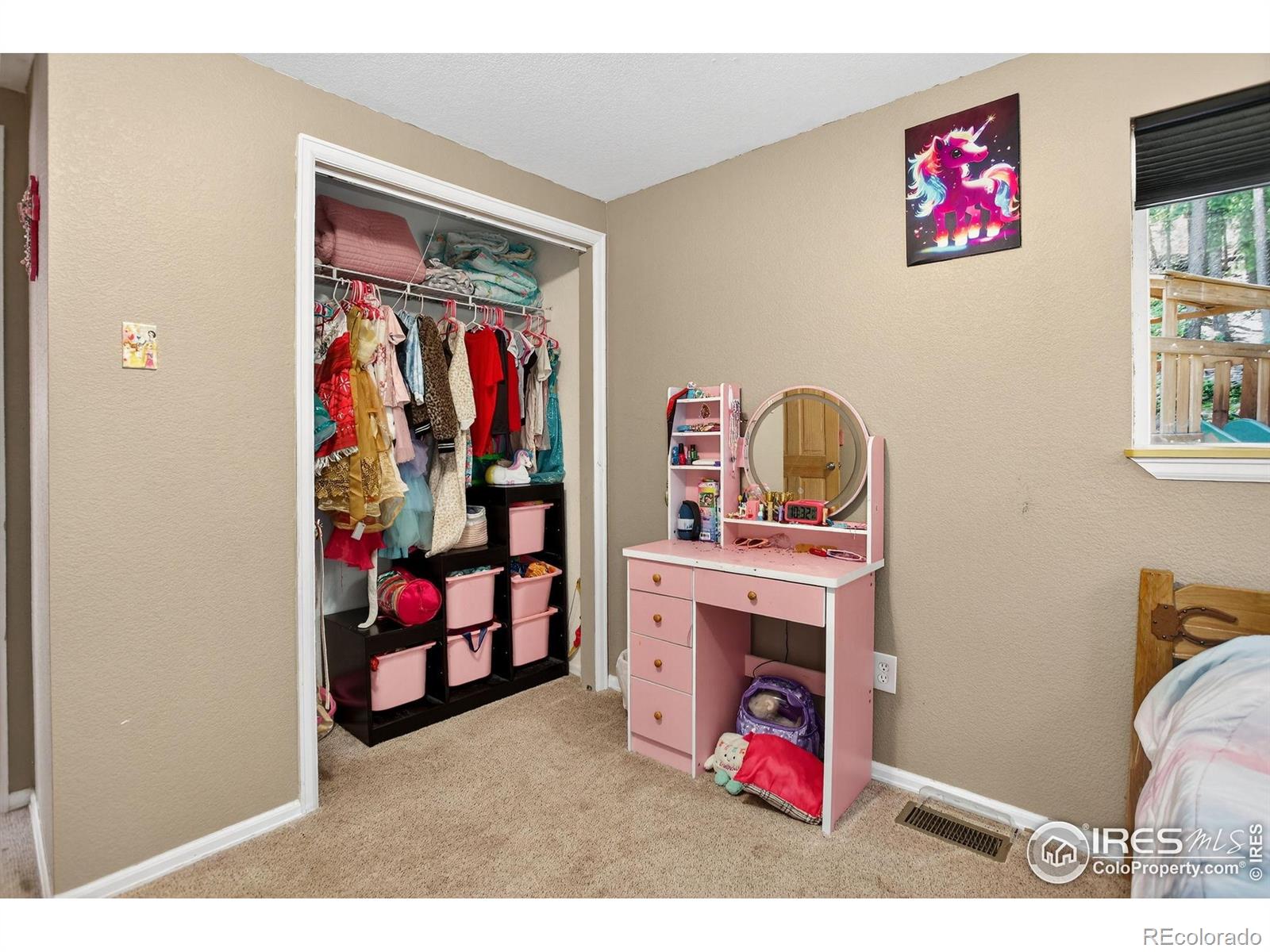 MLS Image #21 for 8340  london lane,conifer, Colorado