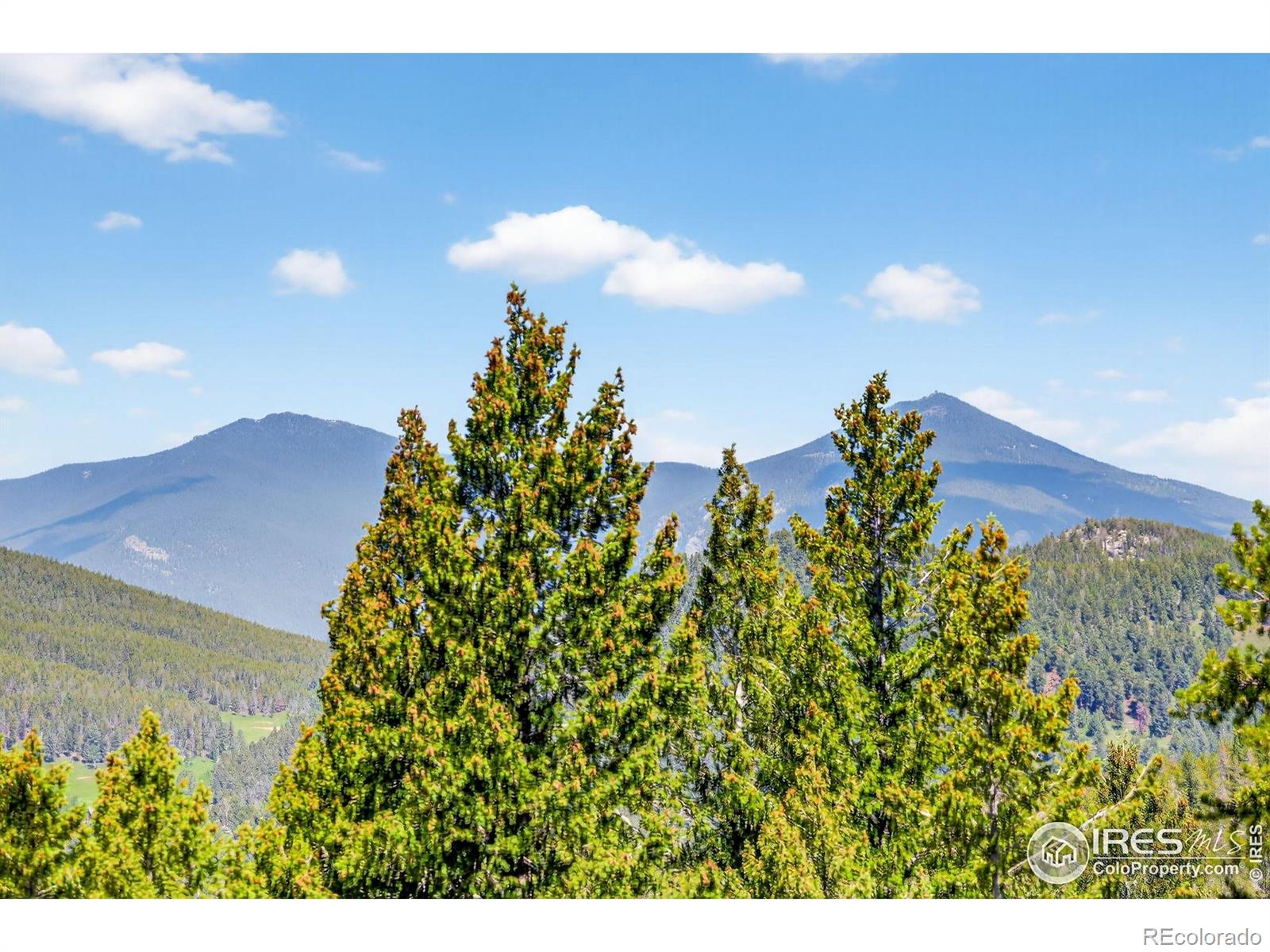 MLS Image #35 for 8340  london lane,conifer, Colorado