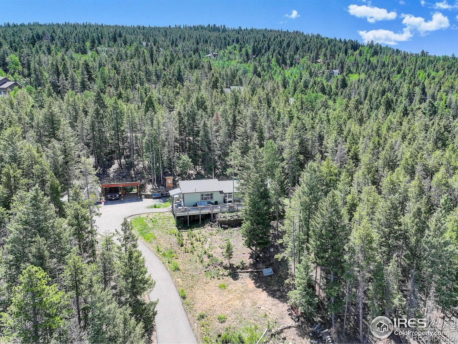 MLS Image #4 for 8340  london lane,conifer, Colorado