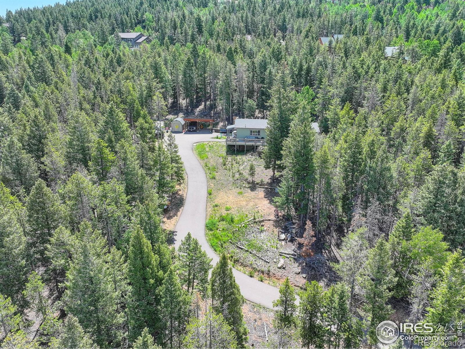 MLS Image #5 for 8340  london lane,conifer, Colorado