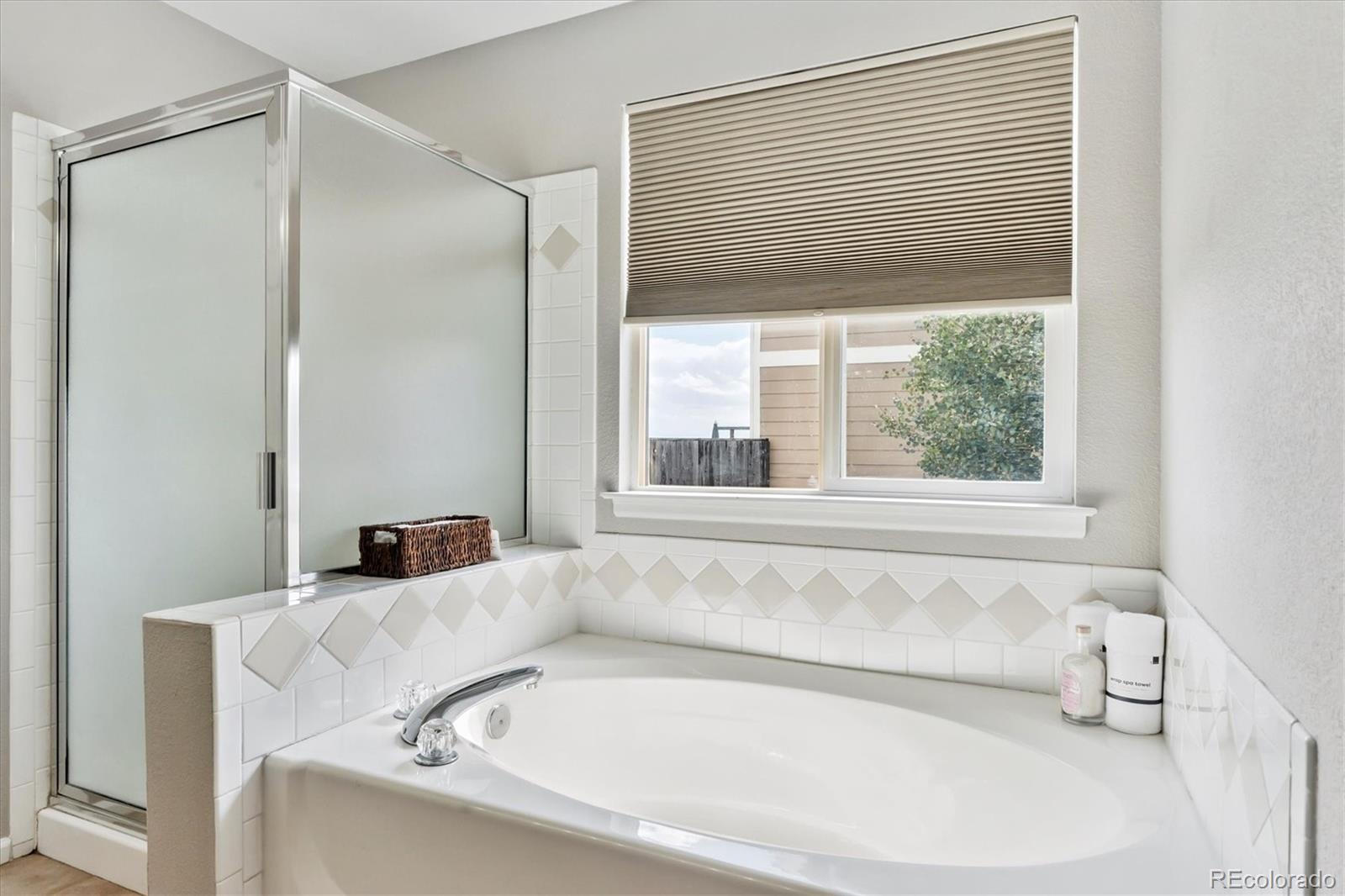 MLS Image #15 for 1180  crenshaw street,castle rock, Colorado