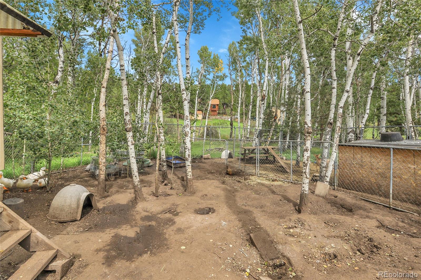 MLS Image #11 for 331  bluebird lane,bailey, Colorado