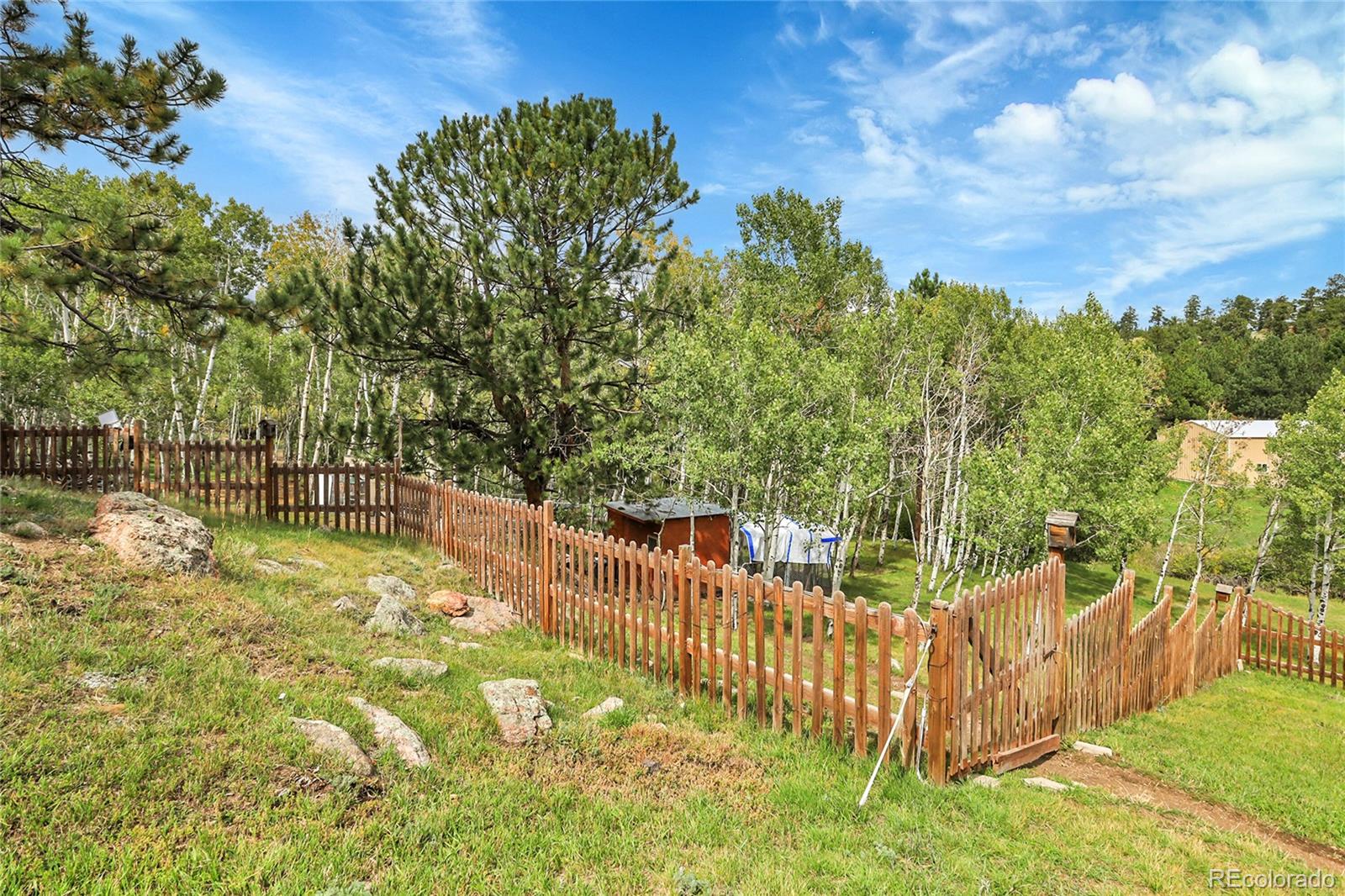 MLS Image #42 for 331  bluebird lane,bailey, Colorado