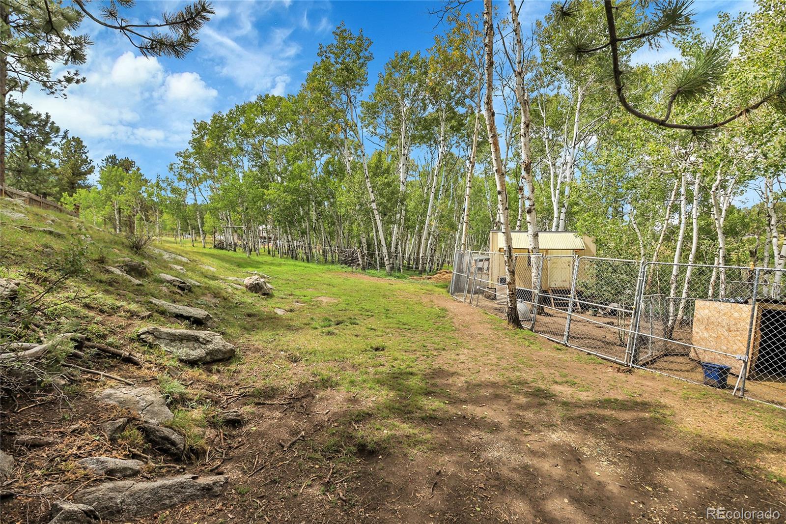MLS Image #45 for 331  bluebird lane,bailey, Colorado