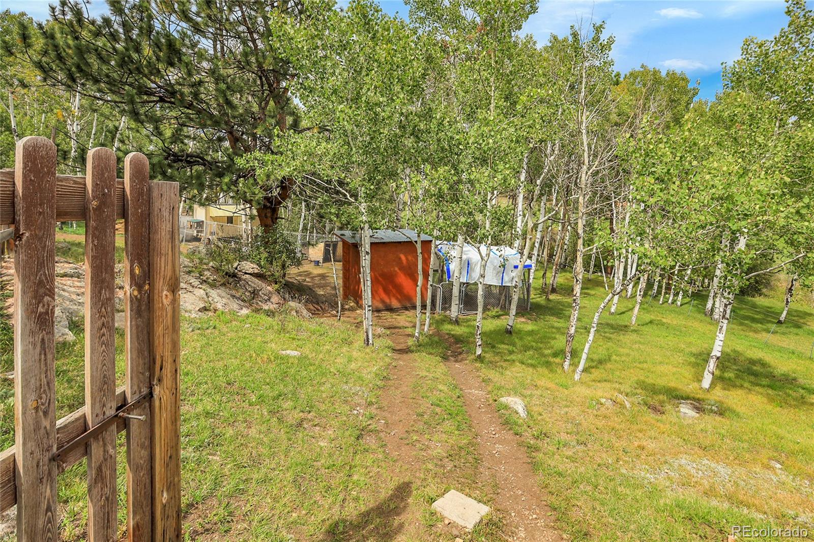 MLS Image #48 for 331  bluebird lane,bailey, Colorado