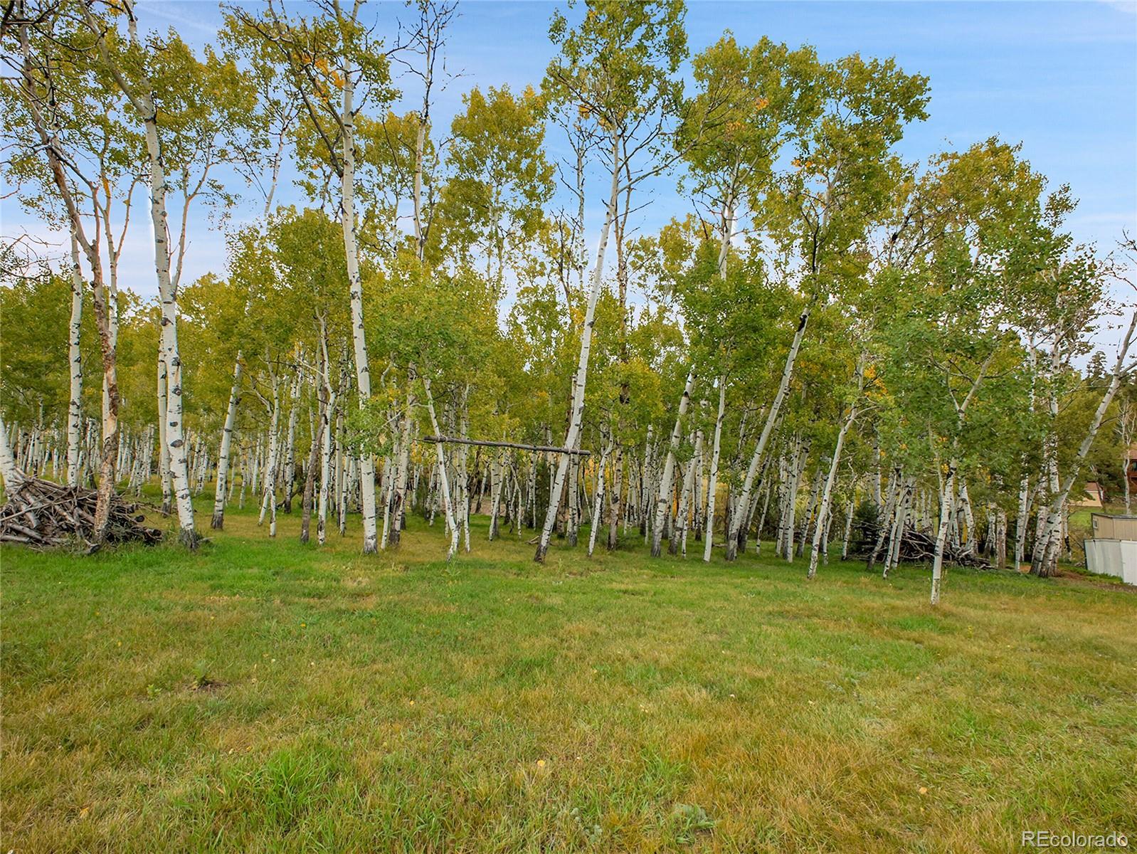 MLS Image #5 for 331  bluebird lane,bailey, Colorado