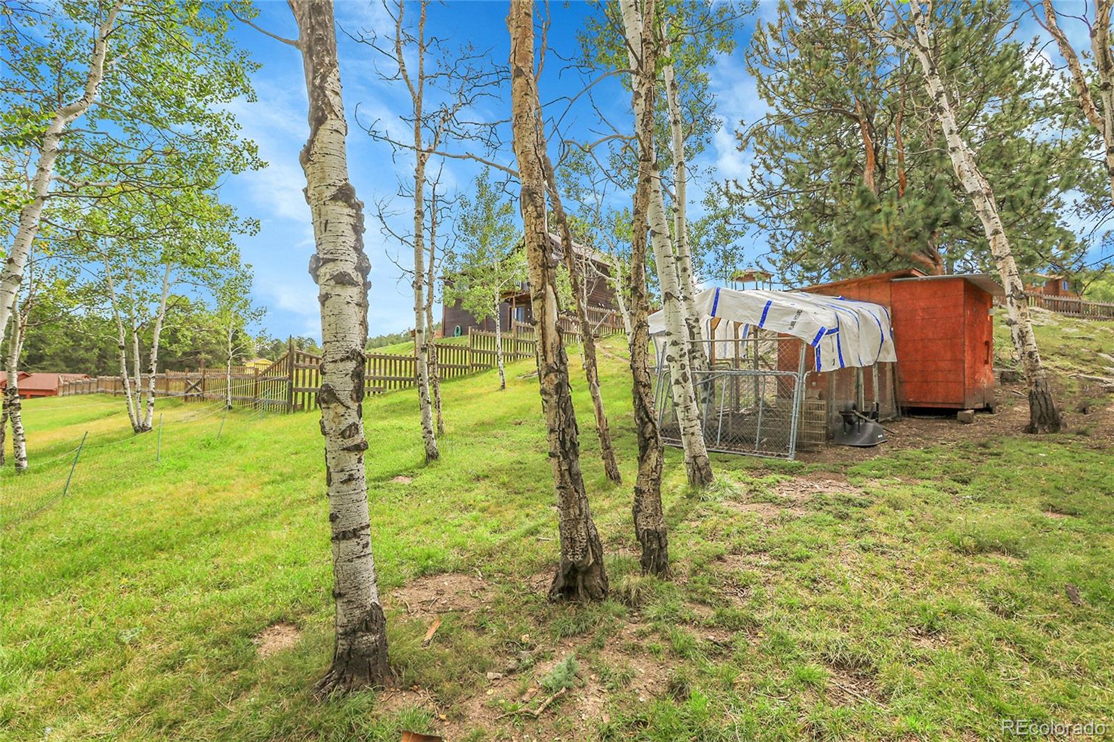 MLS Image #7 for 331  bluebird lane,bailey, Colorado