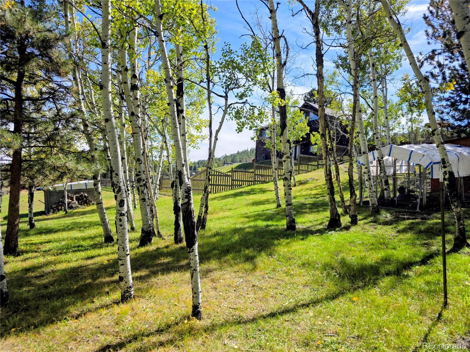 MLS Image #8 for 331  bluebird lane,bailey, Colorado