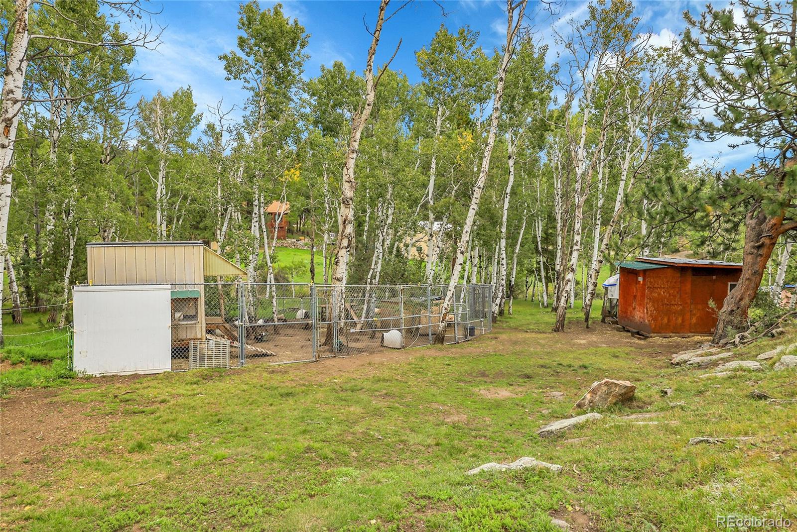 MLS Image #9 for 331  bluebird lane,bailey, Colorado