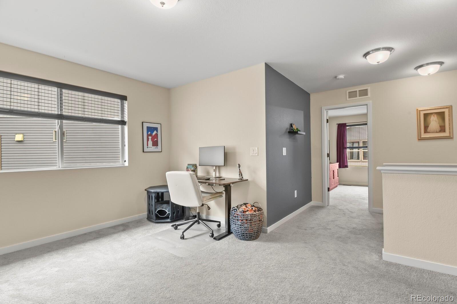 MLS Image #19 for 19158 e 54th place,denver, Colorado