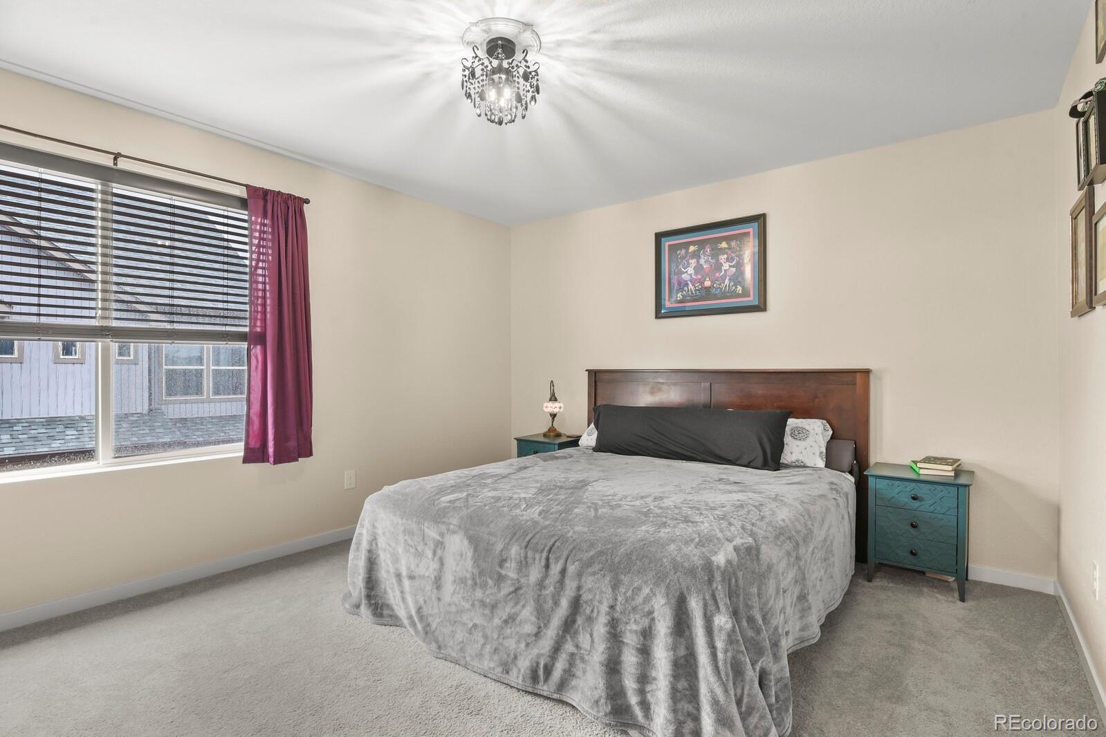MLS Image #20 for 19158 e 54th place,denver, Colorado