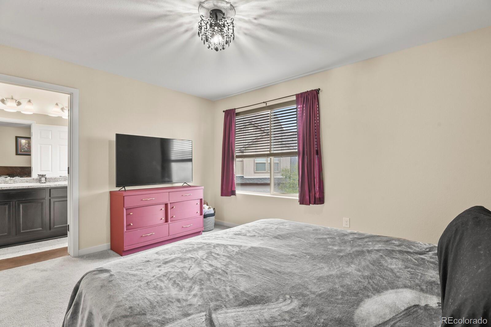 MLS Image #21 for 19158 e 54th place,denver, Colorado
