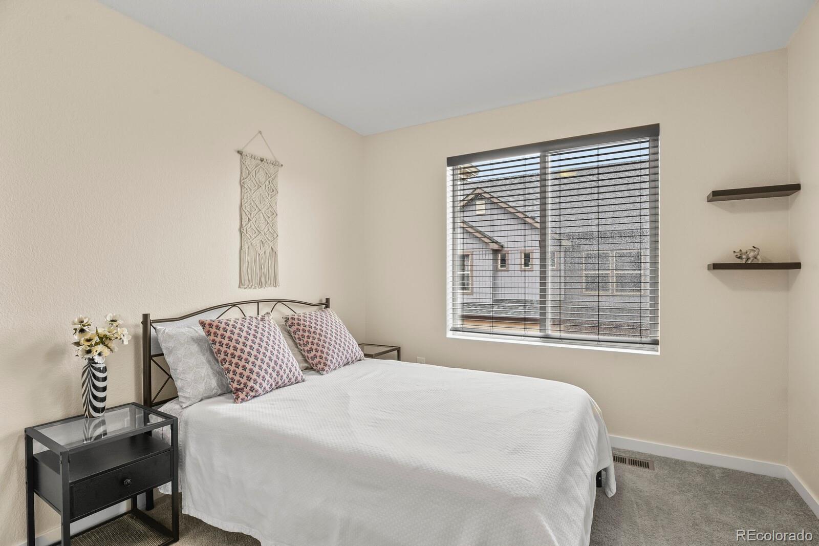 MLS Image #27 for 19158 e 54th place,denver, Colorado