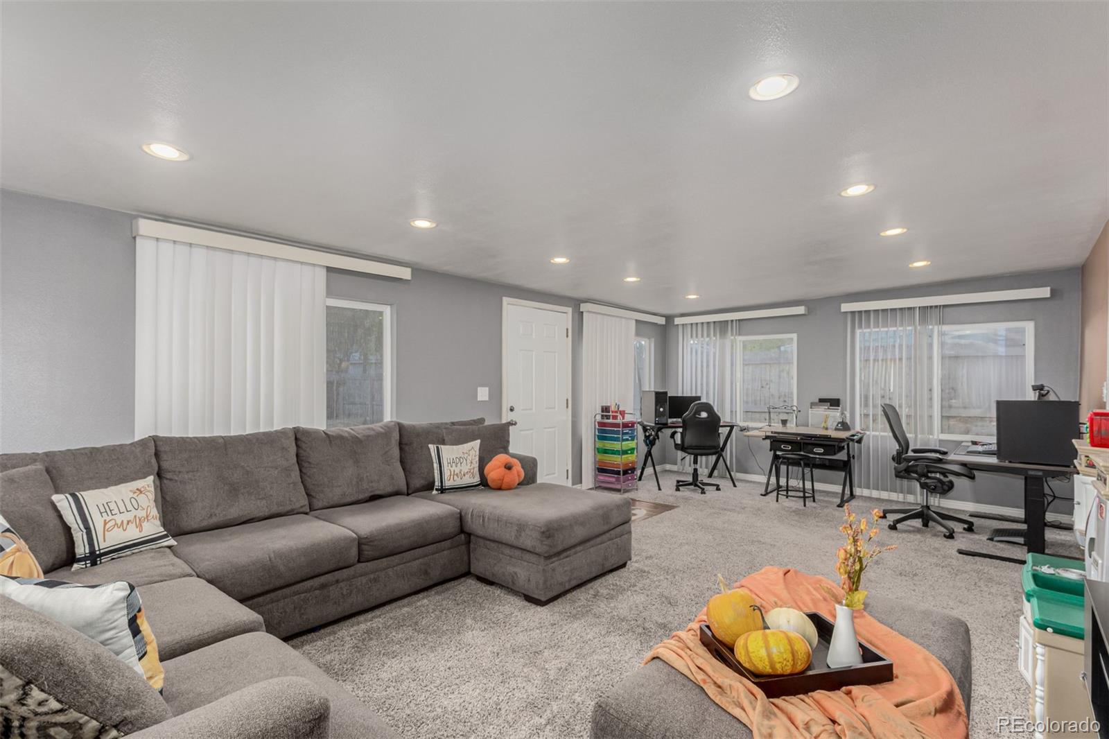 MLS Image #21 for 924  galena street,aurora, Colorado