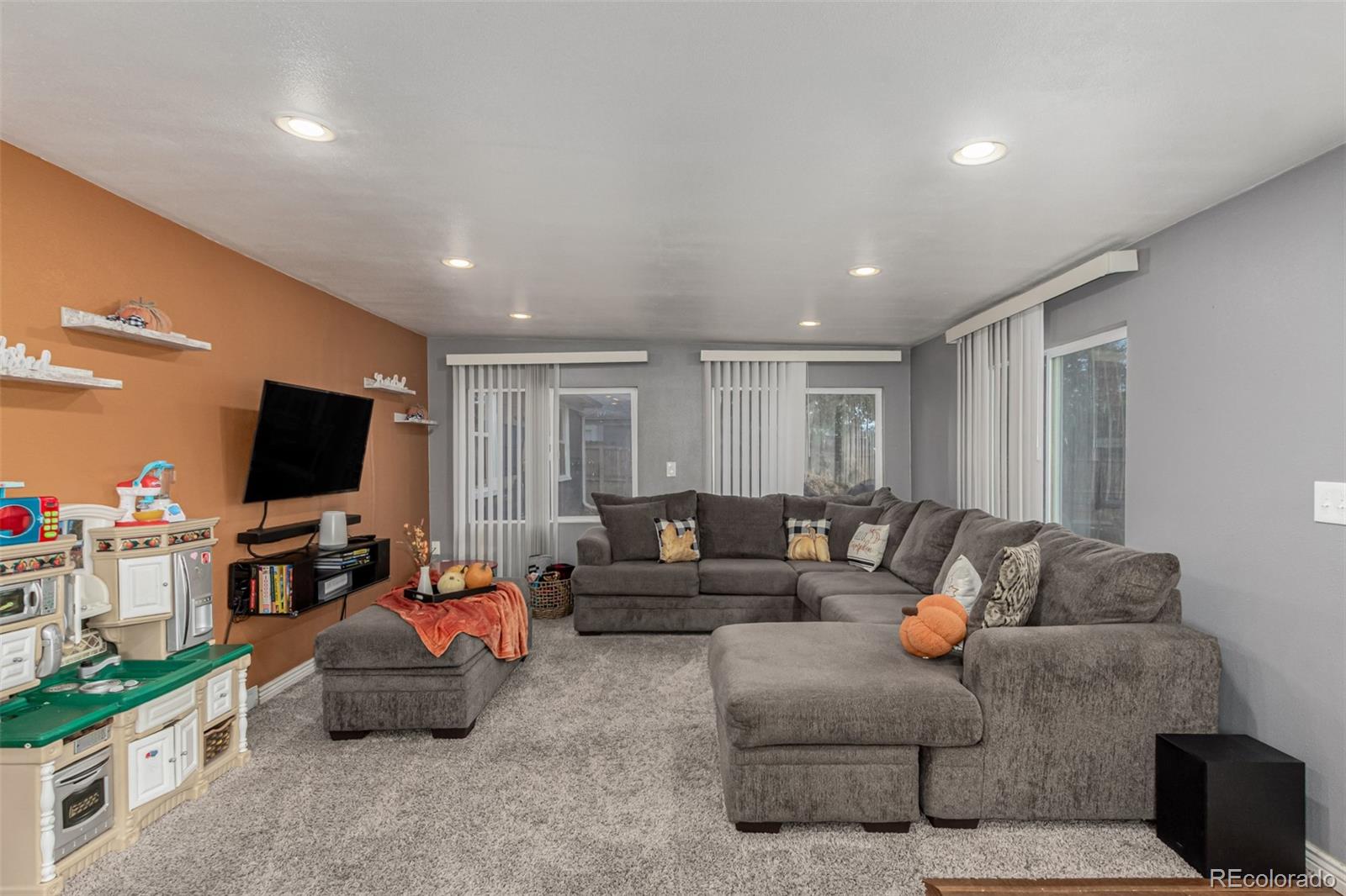 MLS Image #22 for 924  galena street,aurora, Colorado