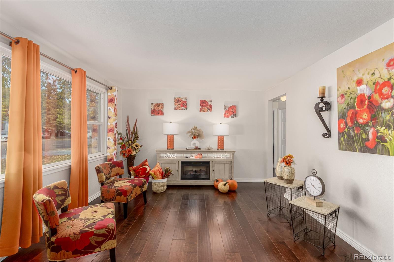 MLS Image #9 for 924  galena street,aurora, Colorado