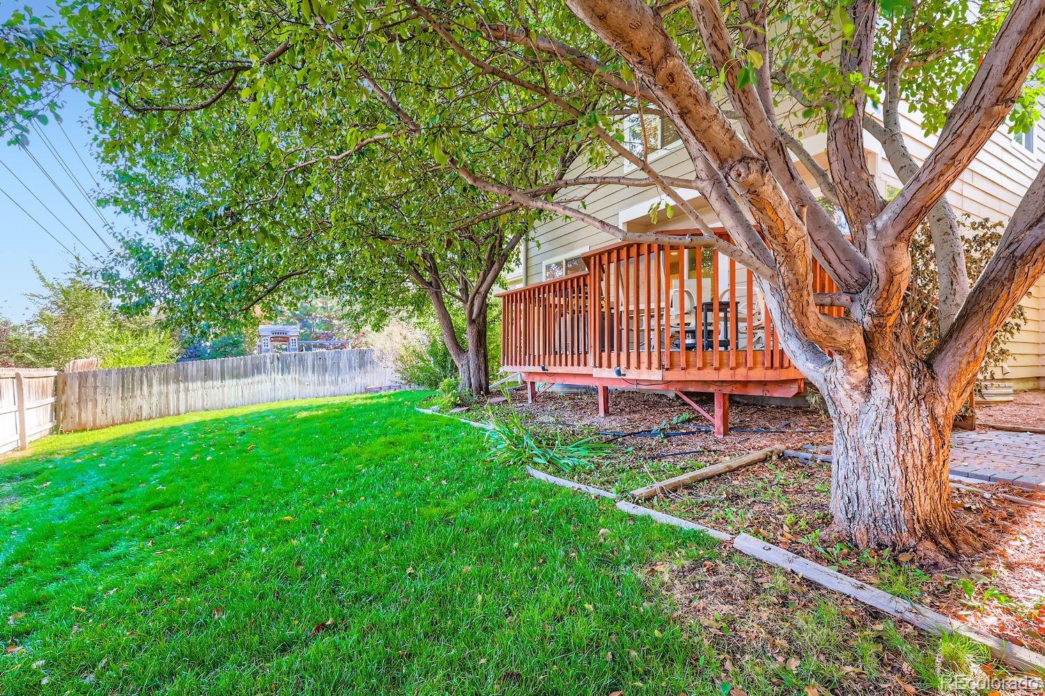 MLS Image #23 for 8434  golden eye drive,parker, Colorado