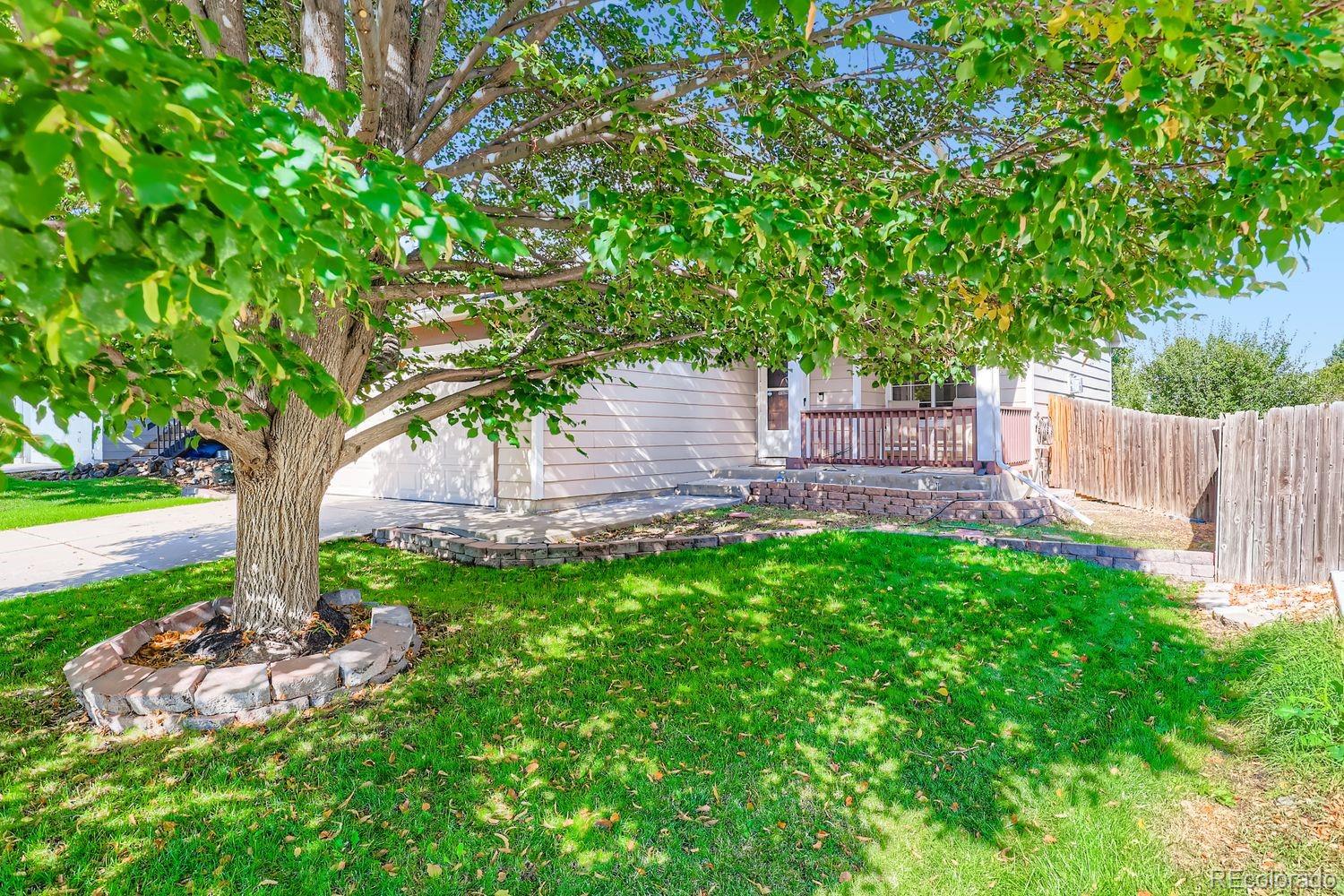 MLS Image #3 for 8434  golden eye drive,parker, Colorado