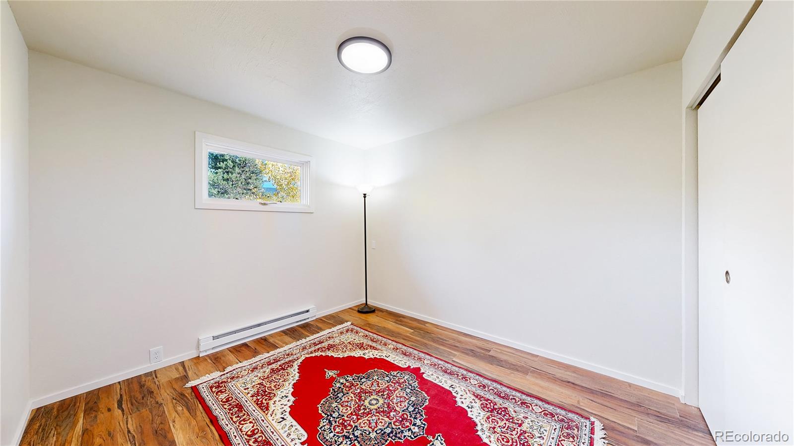 MLS Image #13 for 225  renaud road,bailey, Colorado
